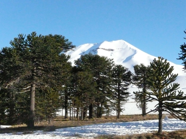 Volcans du Sud Chili à ski