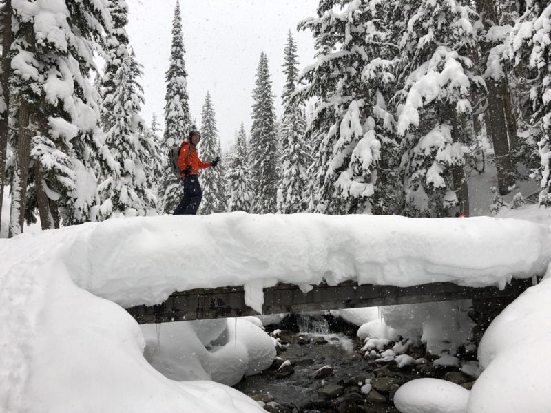Canada : entre Colombie Britannique et Alberta Canada : entre Colombie Britannique et Alberta