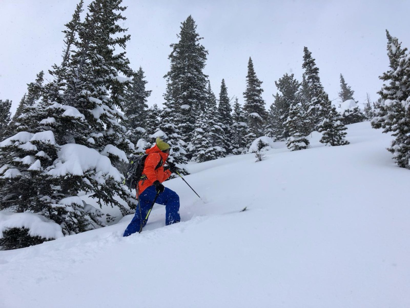 Canada : entre Colombie Britannique et Alberta