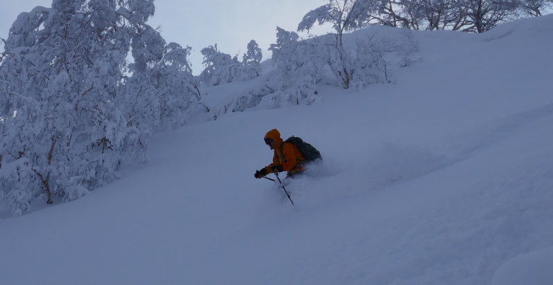 Poudreuse secrète du Japon Poudreuse secrète du Japon