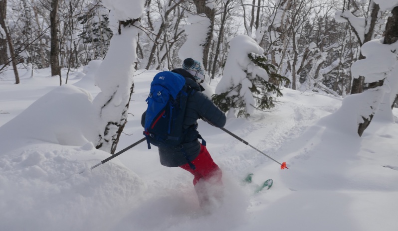 Poudreuse secrète du Japon Poudreuse secrète du Japon