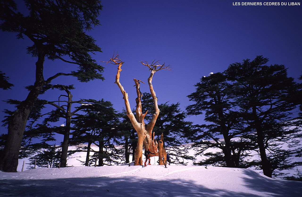 Ski aventure au Liban