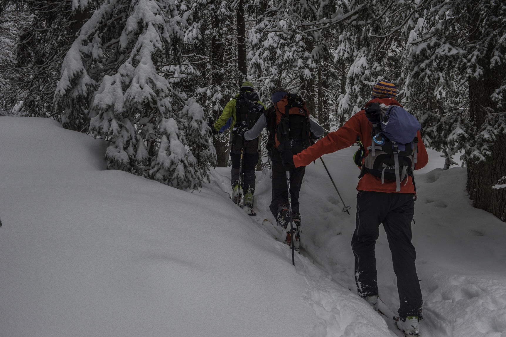 A ski dans les forêts des Tatras