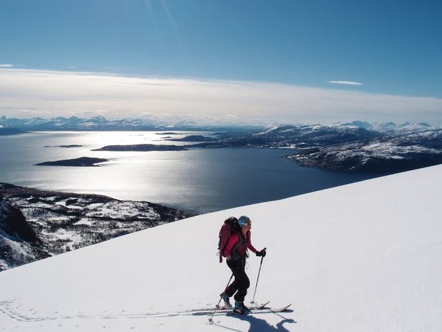 Norvège, île de Senja